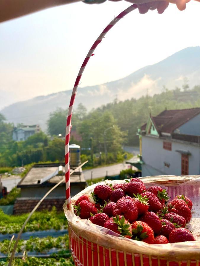 Moonlight Hotel Sapa Εξωτερικό φωτογραφία